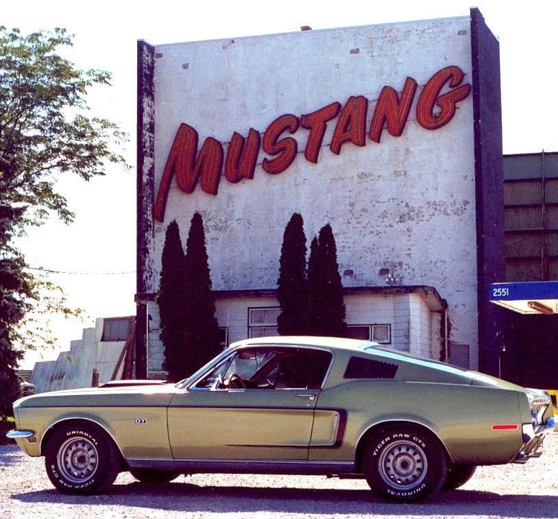 the local drive-in!