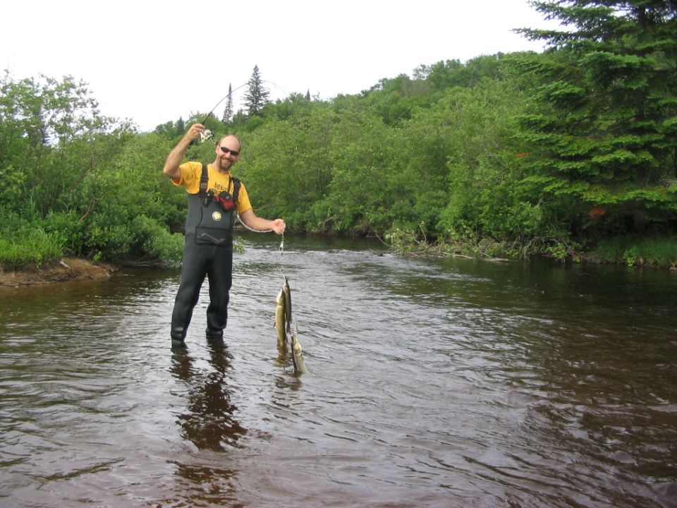 another few more down in the river area .. too bad that the largest one is on my rod in the water .. can't even really see it. Camera man was too slow and it flipped off while posing .. everything uninjured was catch and release anyway, so no big deal. He was probably about 23-25 inches or a little more