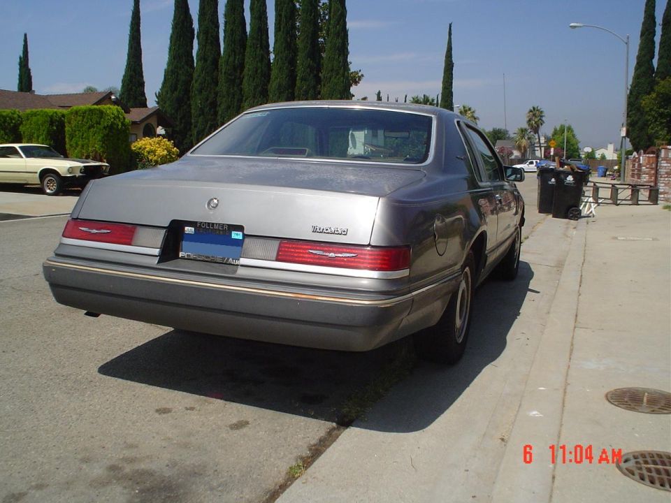 Silver 1980s Ford Thunderbird coupe rear three-quarter view parked at curb near tall cypress trees
