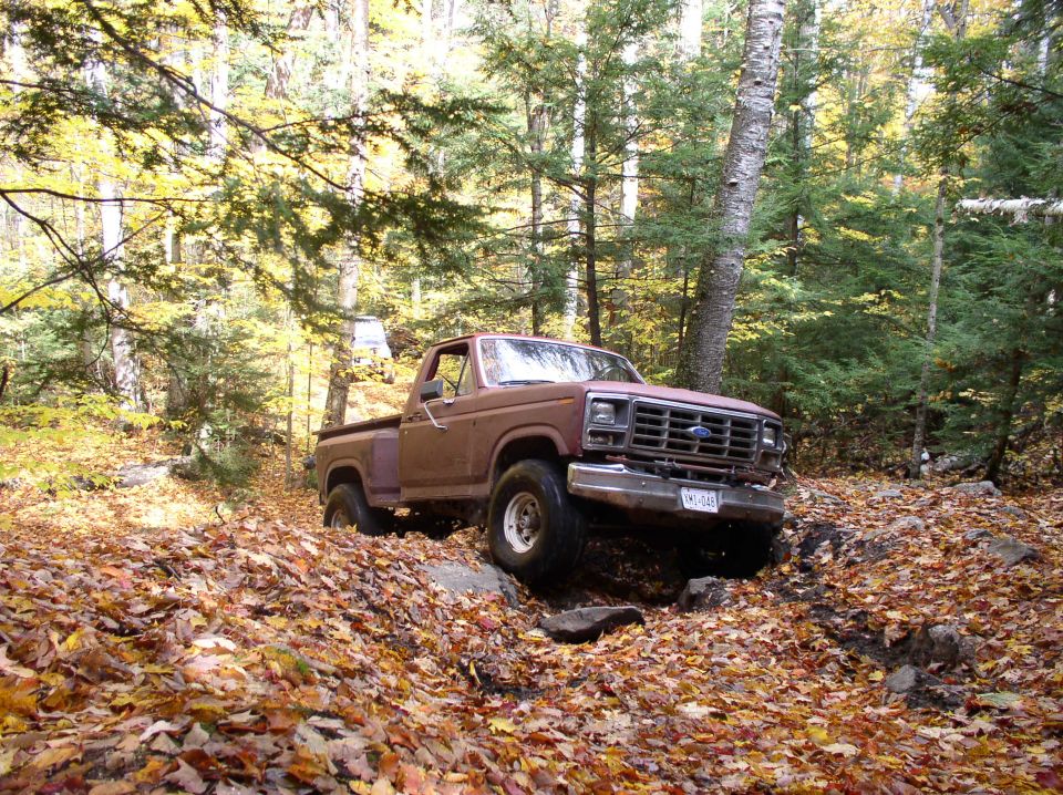 Brown 1980 Ford F-100 driving on a leaf-covered trail in the woods
