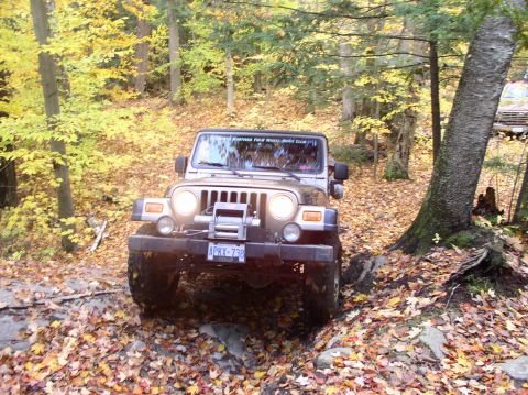 1980 Ford F-100 - A Jeep Wrangler navigates a leaf-covered trail during autumn.