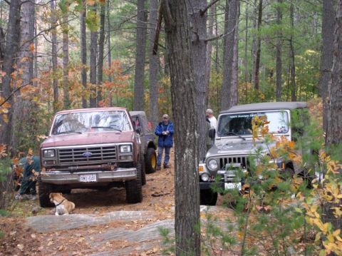 1980 Ford F-100 - Two off-road vehicles are parked on a trail in a wooded area during autumn.