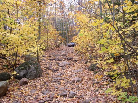 1980 Ford F-100 - A dark SUV navigates a challenging, rocky path through a forest ablaze with autumn colors.