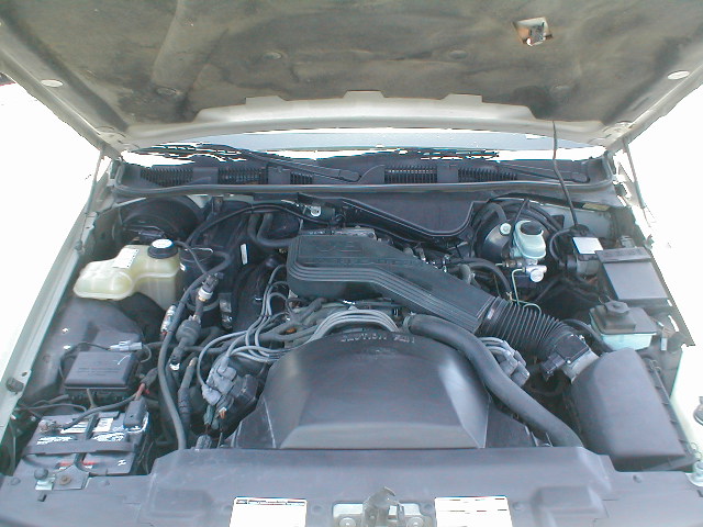 Engine bay of a 1994 Ford Crown Victoria, showing the V8 engine, air intake, battery, and fluid reservoirs under an open hood