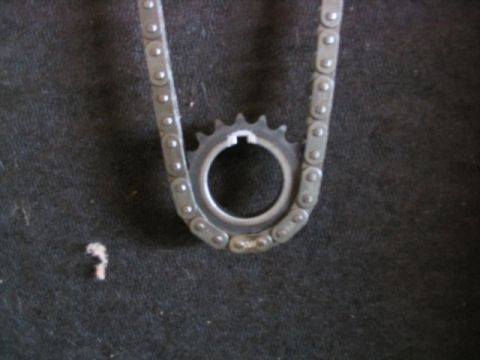 1986 Ford F-150 - Close-up of a timing chain and sprocket, with a small piece of debris visible to the left.