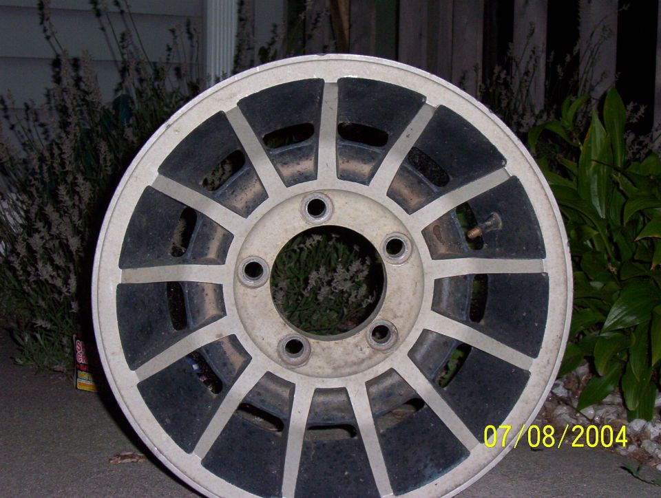 Single weathered slotted aluminum mag wheel propped against shrubbery, dated 07/08/2004