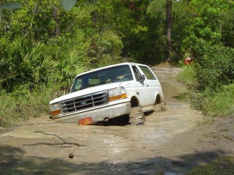 1995 Ford Bronco - A white full-size Bronco sits nose-down and buried to the axles in a brown mud hole on a sandy palmetto trail, its front wheels sunk and mu…