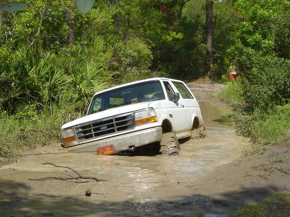 White Bronco stuck axle-deep in a muddy trail hole surrounded by palmettos