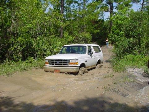 1995 Ford Bronco - White full-size Ford Bronco sitting buried to the rocker panels in a brown mud hole on a wooded trail, shown from a three-quarter front ang…
