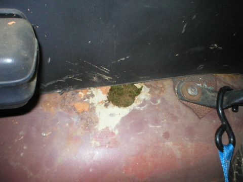 1986 Ford Bronco - Pass side wheelwell