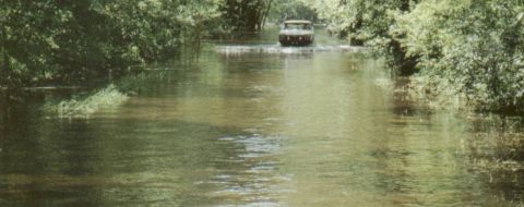 1980 Ford Bronco - Wait for it...