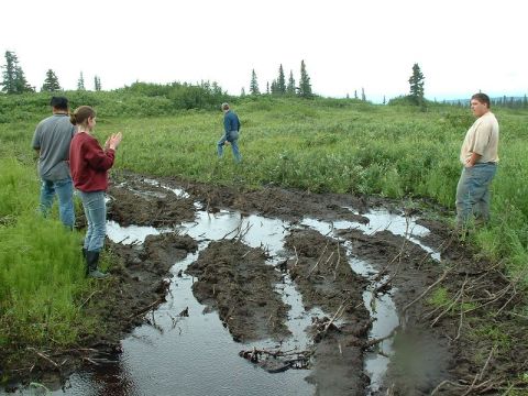 1985 Ford Bronco - Several people stand near a muddy, water-filled track in a grassy, wooded area. The scene appears to be off-road.