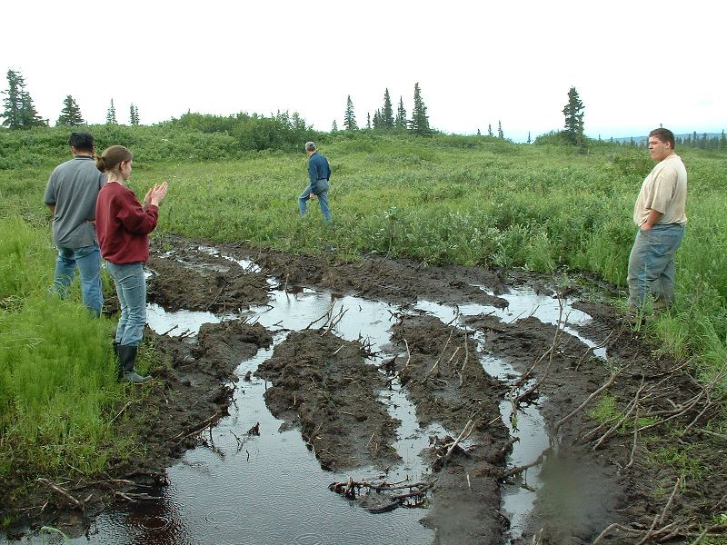 People standing around a water-filled rutted mud hole in a boggy tundra meadow