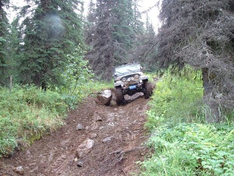 1985 Ford Bronco - A Jeep CJ-7 tackles a challenging off-road path through dense woods.