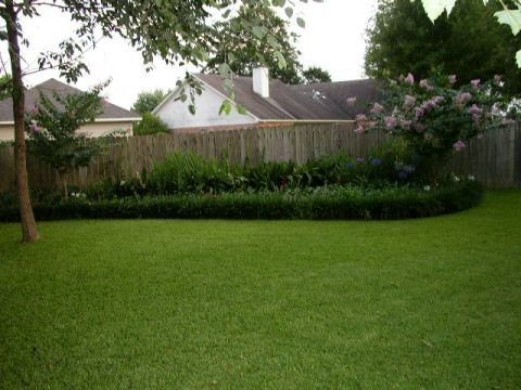 1995 Ford Bronco - A suburban backyard features a well-maintained lawn, a wooden fence, and a variety of plants and flowers.