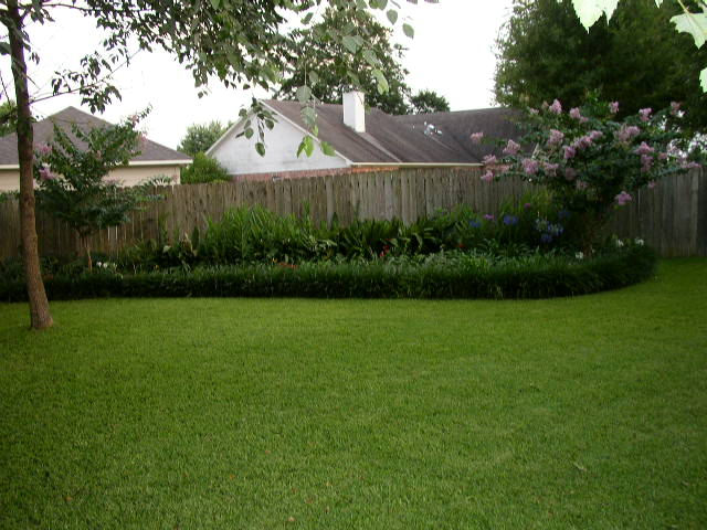 Backyard with green grass, wooden fence, and flowering bushes