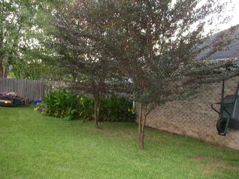 1995 Ford Bronco - Backyard scene with lawn, trees, fence, and a wheelbarrow. Supermotors.net logo visible.