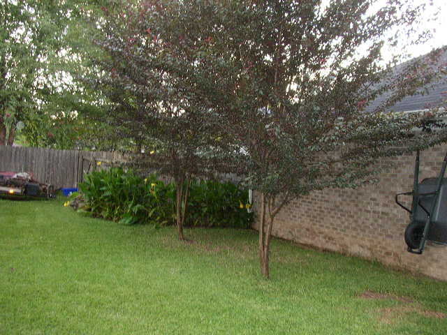 Backyard with green grass, trees, a wooden fence, and a wheelbarrow leaning against a brick wall. Supermotors.net logo in the corner