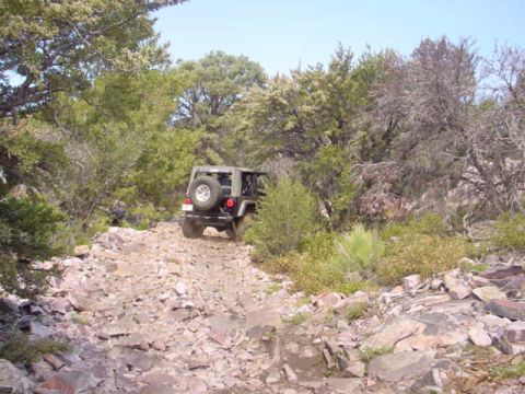 1988 Ford Bronco - A Jeep Wrangler navigates a challenging, rocky off-road trail surrounded by dense vegetation.