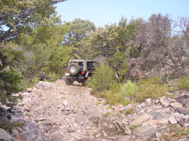 Jeep Wrangler driving up a rough, rocky path through trees