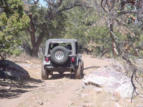 1988 Ford Bronco - A Jeep Wrangler navigates a dusty, wooded trail.