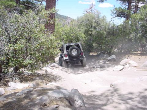 1988 Ford Bronco - A Jeep Wrangler navigates a dusty, rocky trail through a wooded area.