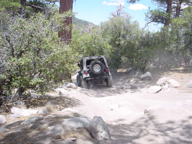 Jeep Wrangler driving on a dusty dirt trail with trees and rocks