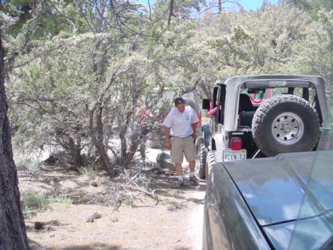 1988 Ford Bronco - A man stands by a Jeep Wrangler parked on a dirt road surrounded by trees, with another vehicle partially visible in the foreground.