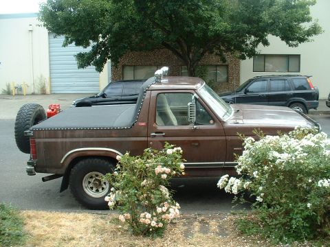 1982 Ford Bronco - This pickup truck, likely from the early 1980s, is parked next to a building with some flowering bushes in the foreground.