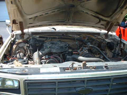 1985 Ford Bronco photo