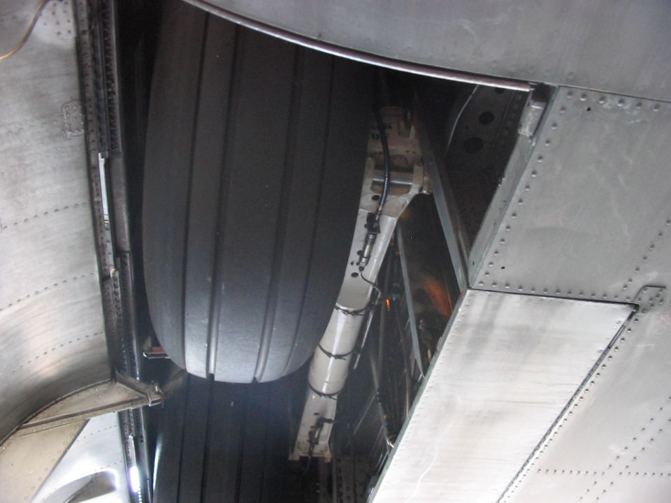 Airplane tire and landing gear assembly, viewed from below. Riveted metal panels are visible