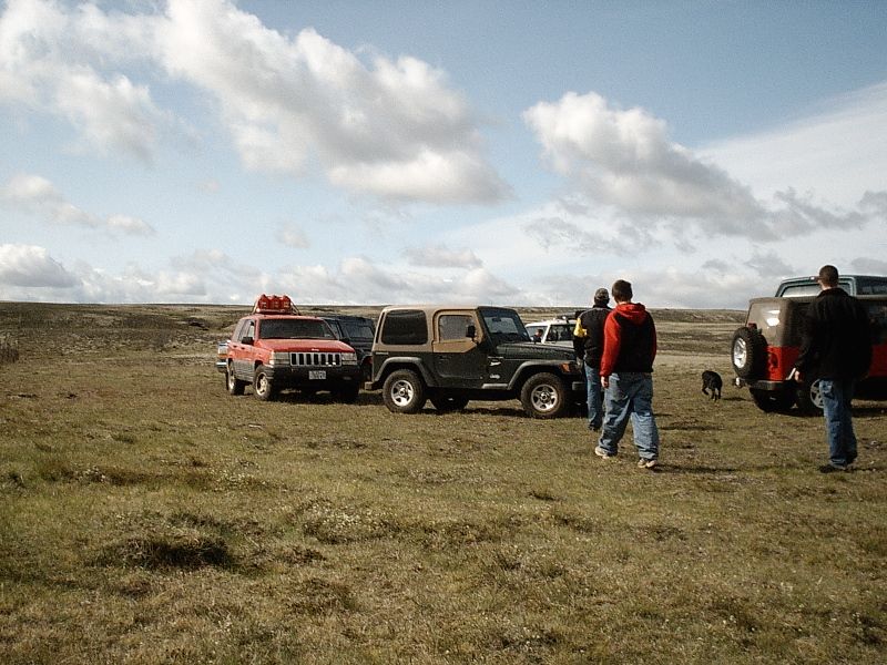 Red and green Jeeps and other SUVs parked on grassy plain with people and a dog.