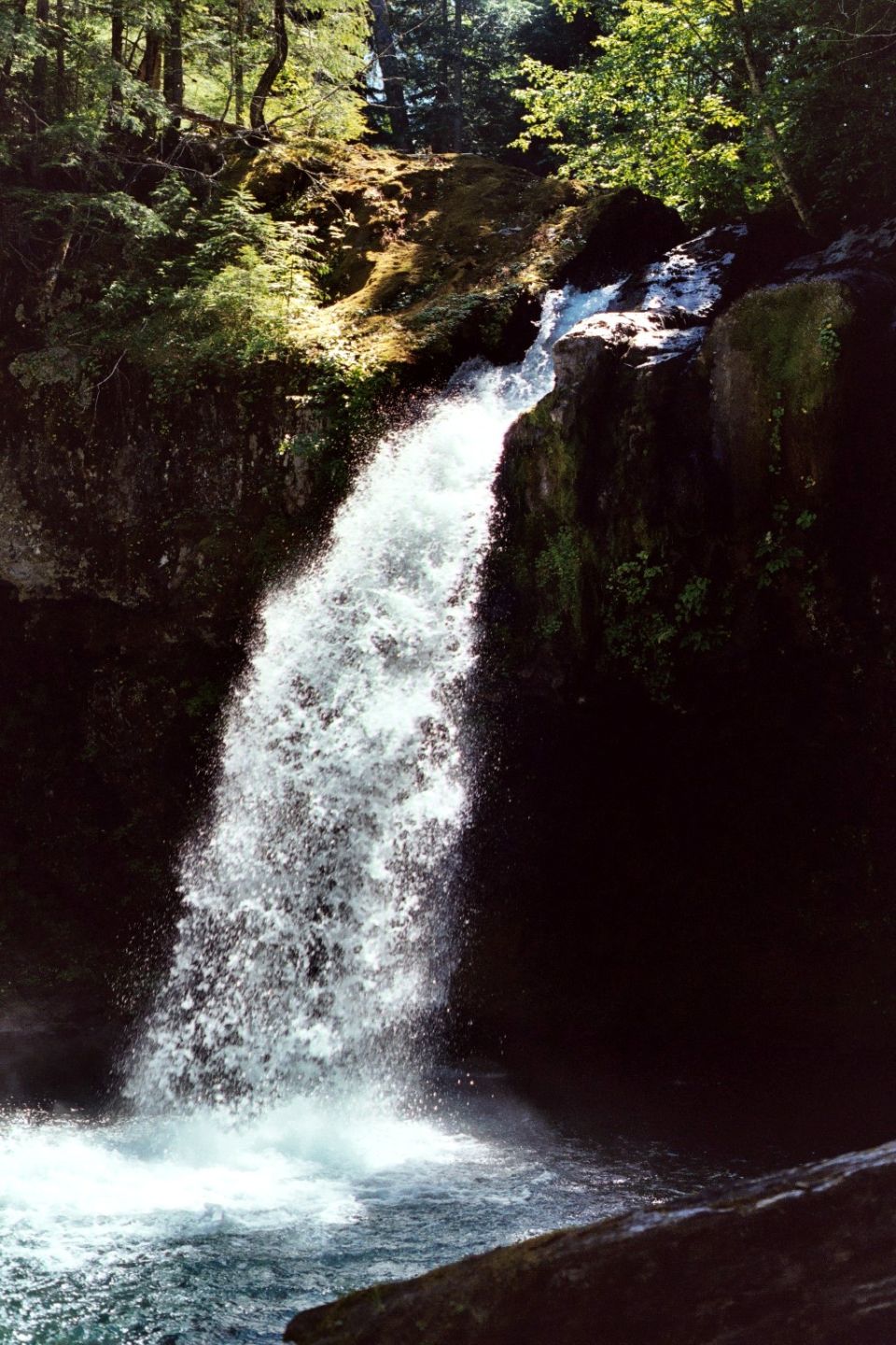 Waterfall pouring over mossy rocks into a pool in a shaded forest