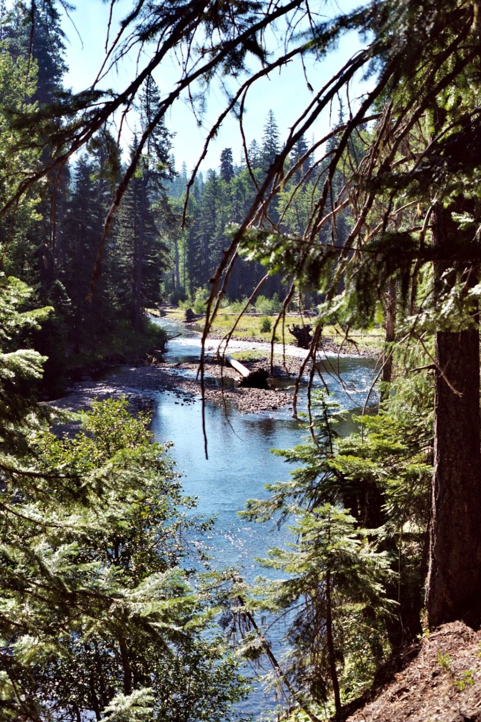 Favorite Camp Site in Yakima