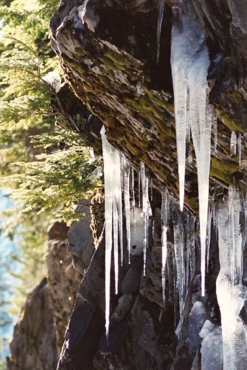 1979 Ford Bronco - Frozen Water