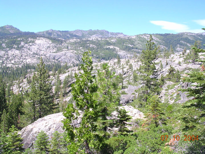 Mountain landscape with trees and rocks, dated 07/10/2004