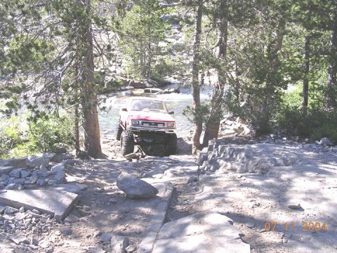 1994 Ford Bronco - These are the two trees.