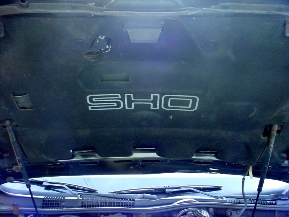 Underside of car hood showing 'SHO' emblem and hood supports