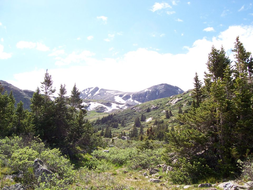 Mountain landscape with trees and snow-capped peaks under a blue sky