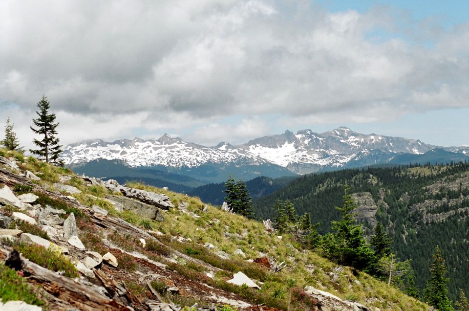 Mountain landscape with snow-capped peaks, pine trees, and rocky terrain under a cloudy sky