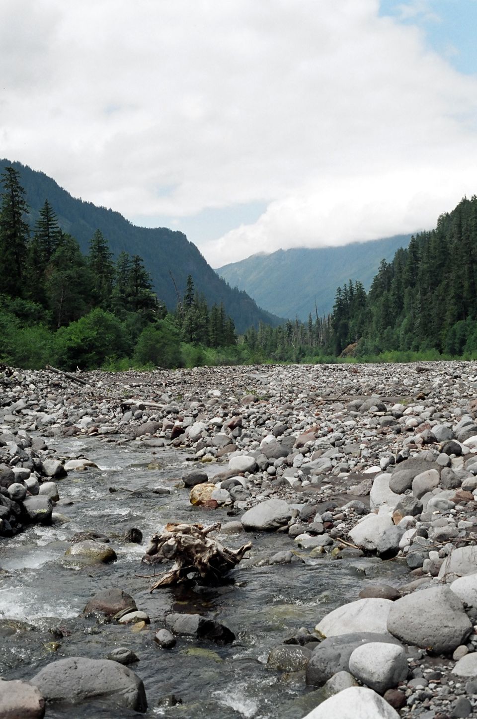 Rocky mountain riverbed with shallow stream, evergreens and cloudy ridgelines