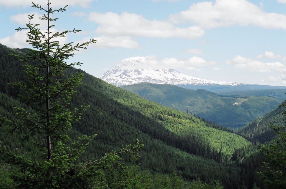 Snow-capped mountain above forested valley ridges, no vehicle visible
