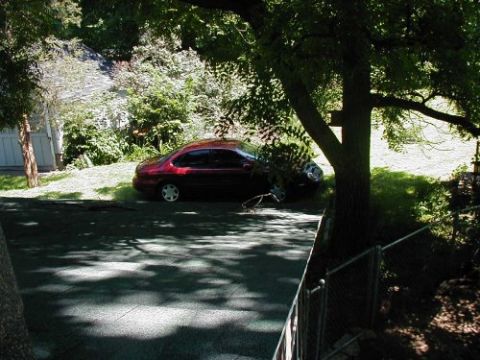 1997 Ford Taurus - A red 1997 Ford Taurus is parked on a grassy incline, partially obscured by tree branches.