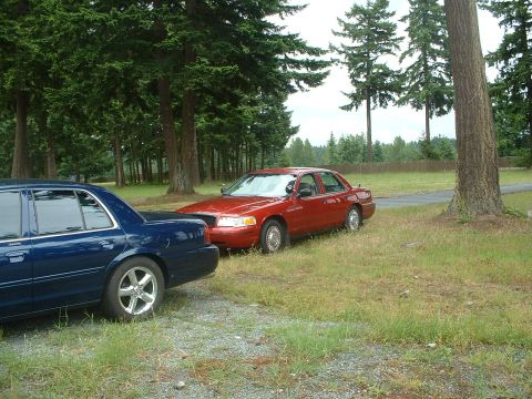 1999 Ford Crown Victoria - Two Ford Crown Victoria police interceptors are parked side-by-side on a grassy area.