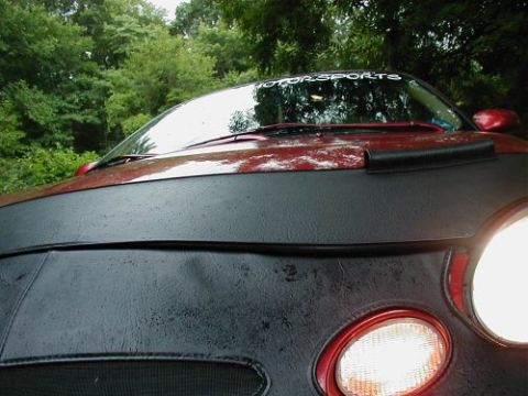 1997 Ford Taurus - A red car is partially covered by a black bra, with a "MOTOR SPORTS" banner visible on the windshield.