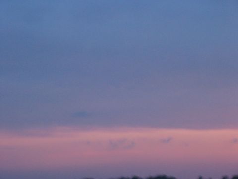 1988 Ford Bronco - A twilight sky displays soft pink and blue colors over a dark treeline, with a website watermark visible.