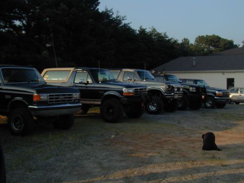1988 Ford Bronco - Several Ford Broncos are parked in a row outside a building during the day.