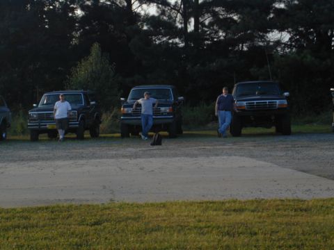 1988 Ford Bronco - Three Ford trucks are parked in a lot with trees in the background.