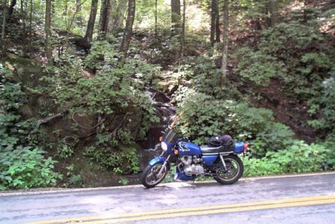 1985 Ford LTD Crown Victoria - A blue motorcycle rests on the shoulder of a road, surrounded by lush green foliage and trees.