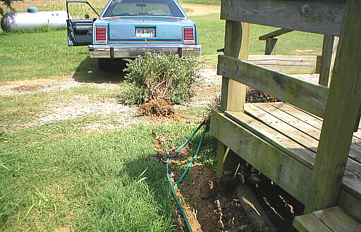 Rear view of blue 1987 Ford Crown Victoria LTD with license plate PCA-495